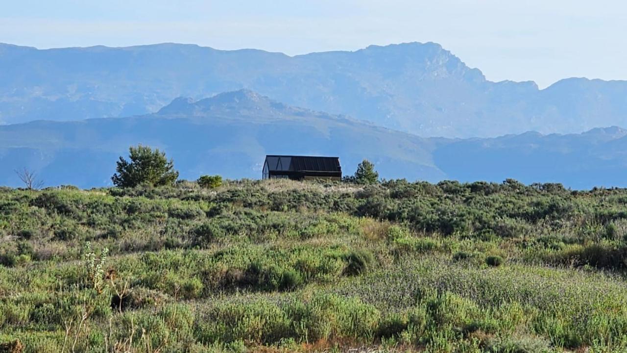 הוילה טולבאך Little Acre Luxury Pods מראה חיצוני תמונה